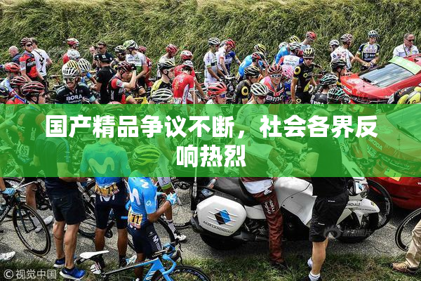 国产精品争议不断，社会各界反响热烈