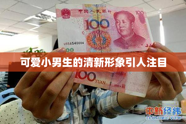 可爱小男生的清新形象引人注目