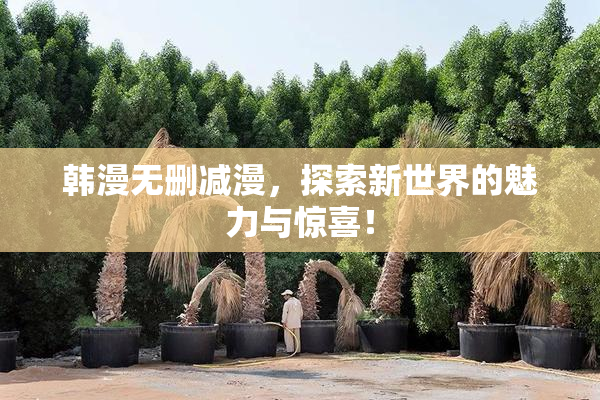 韩漫无删减漫，探索新世界的魅力与惊喜！