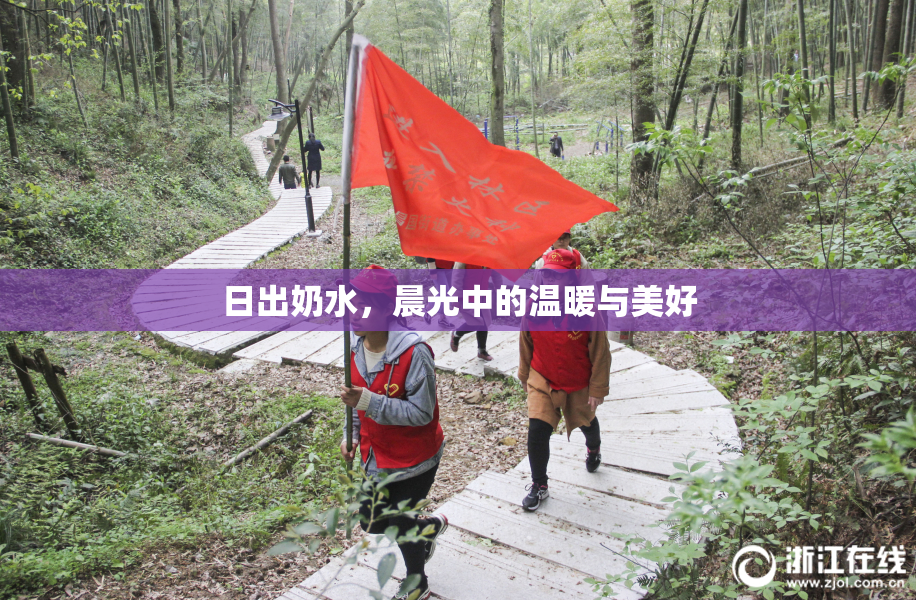 日出奶水，晨光中的温暖与美好