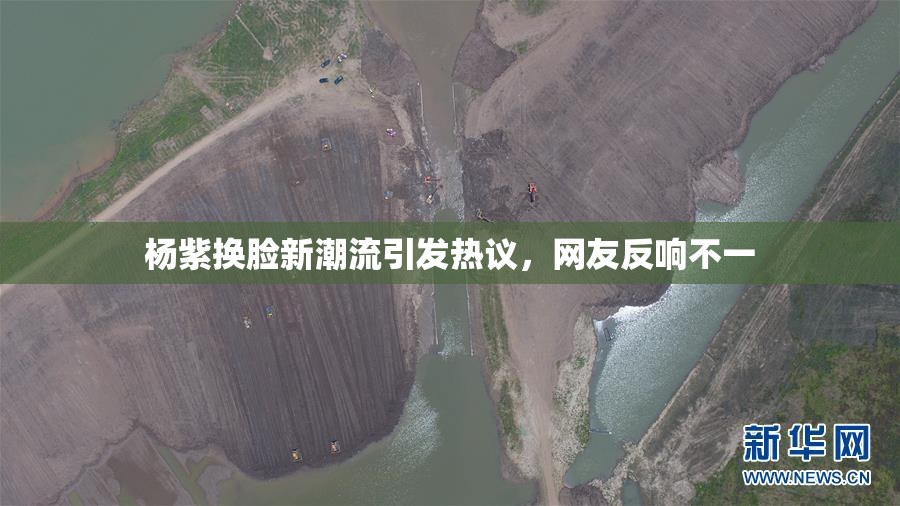 杨紫换脸新潮流引发热议，网友反响不一