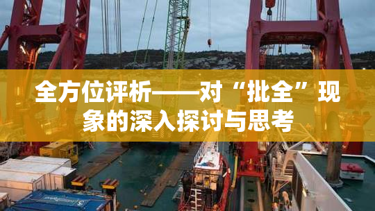 全方位评析——对“批全”现象的深入探讨与思考