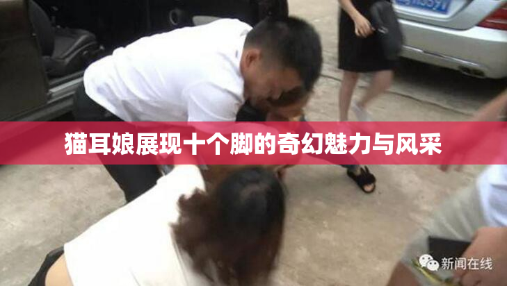 猫耳娘展现十个脚的奇幻魅力与风采