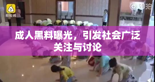 成人黑料曝光，引发社会广泛关注与讨论