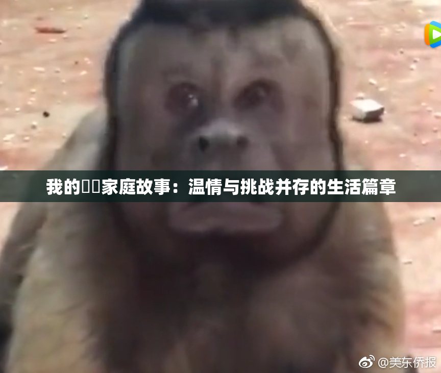 我的妺妺家庭故事：温情与挑战并存的生活篇章