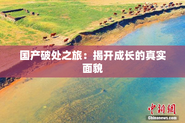 国产破处之旅：揭开成长的真实面貌