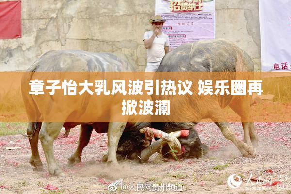 章子怡大乳风波引热议 娱乐圈再掀波澜