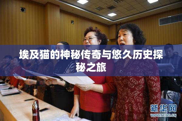 埃及猫的神秘传奇与悠久历史探秘之旅