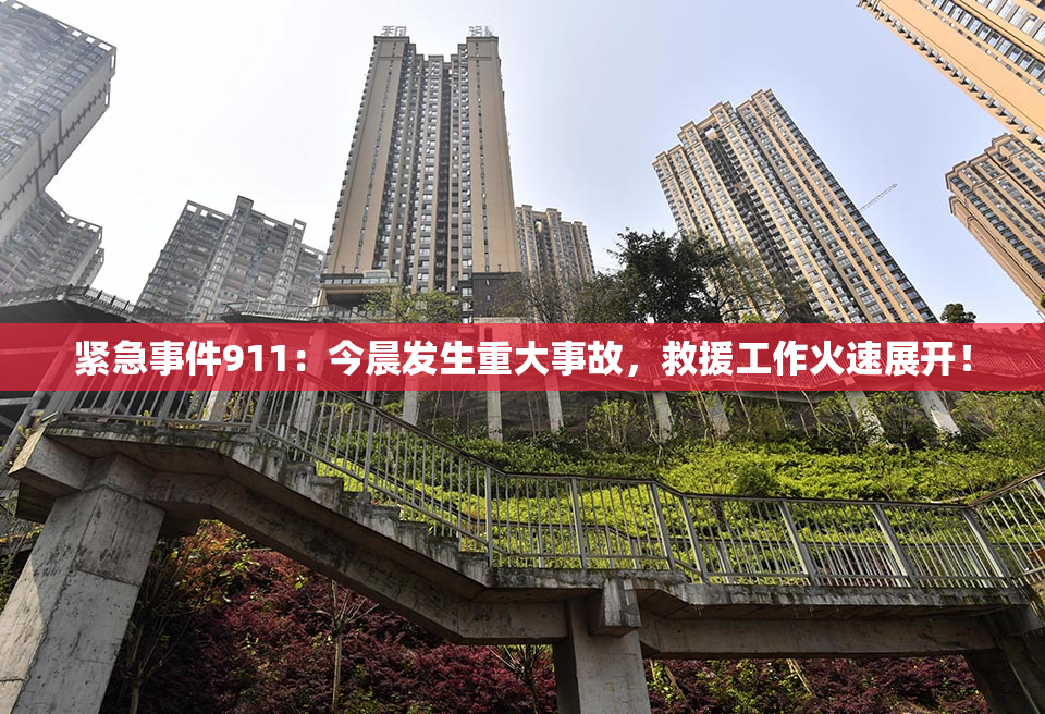 紧急事件911：今晨发生重大事故，救援工作火速展开！