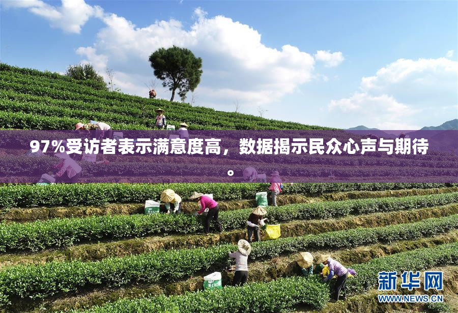 97%受访者表示满意度高，数据揭示民众心声与期待。