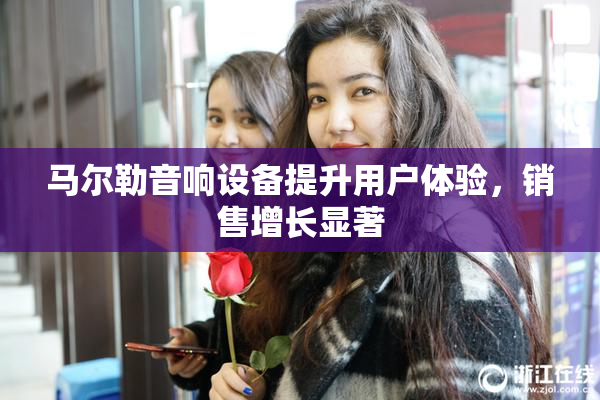 马尔勒音响设备提升用户体验，销售增长显著