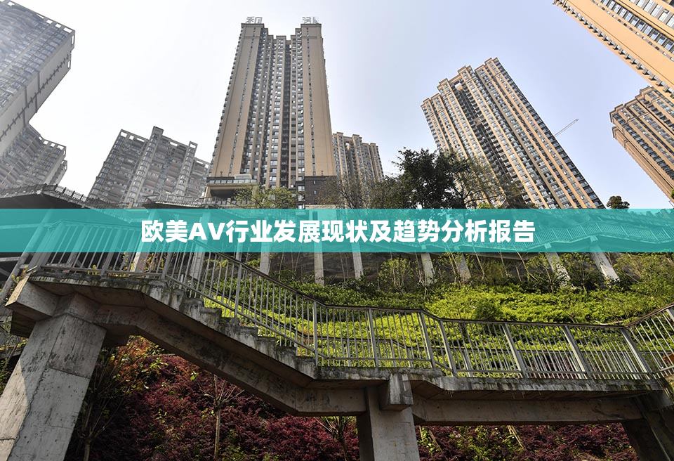 欧美AV行业发展现状及趋势分析报告