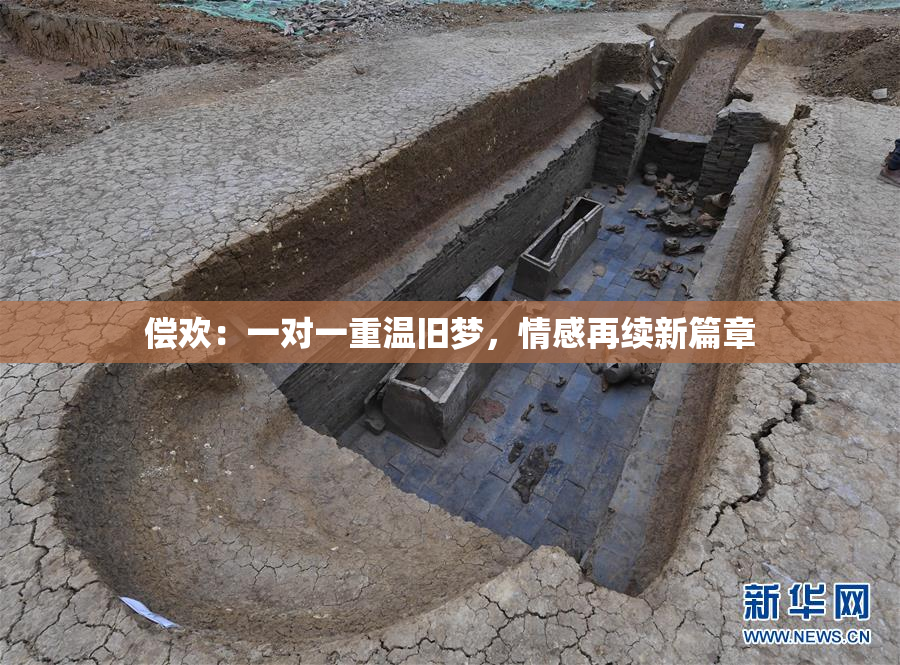 偿欢：一对一重温旧梦，情感再续新篇章