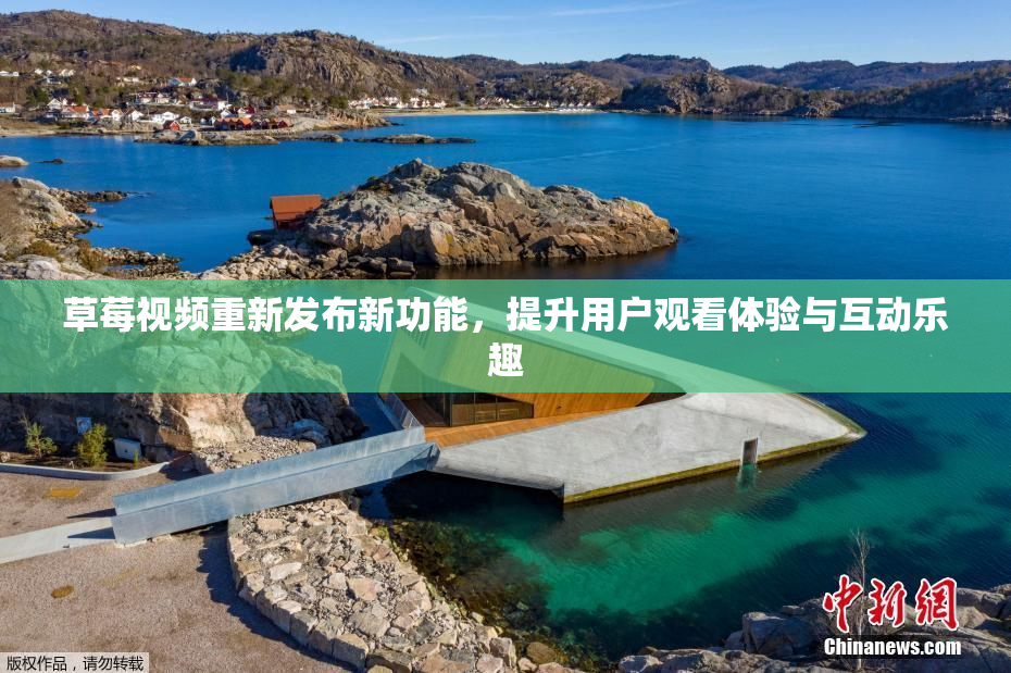 草莓视频重新发布新功能，提升用户观看体验与互动乐趣