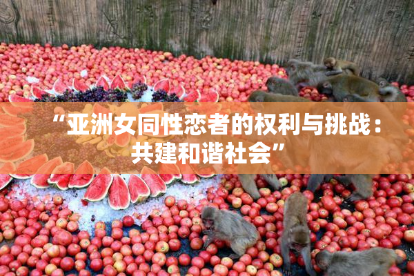 “亚洲女同性恋者的权利与挑战：共建和谐社会”