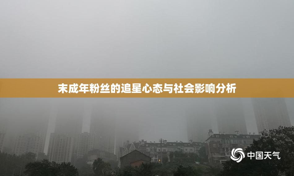 末成年粉丝的追星心态与社会影响分析
