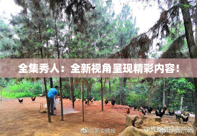 全集秀人：全新视角呈现精彩内容！