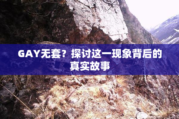 GAY无套？探讨这一现象背后的真实故事