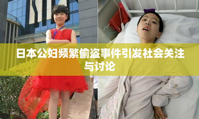 日本公妇频繁偷盗事件引发社会关注与讨论