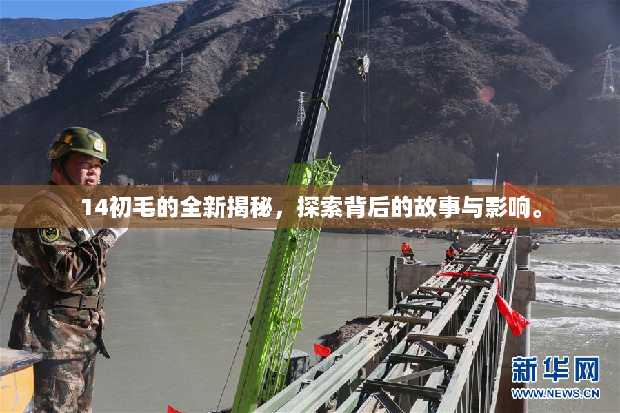 14初毛的全新揭秘，探索背后的故事与影响。