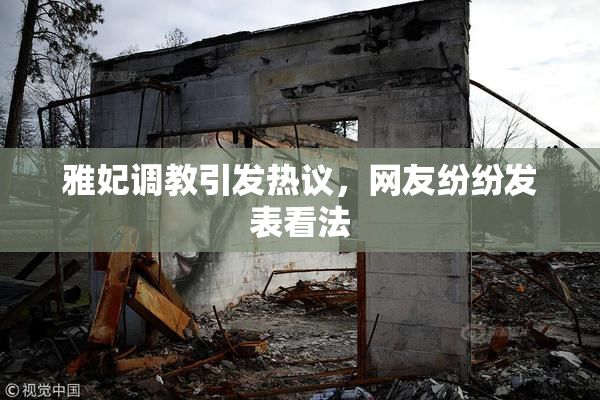 雅妃调教引发热议，网友纷纷发表看法