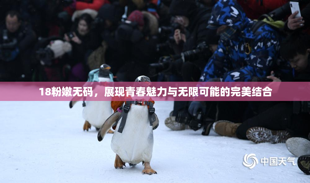 18粉嫩无码，展现青春魅力与无限可能的完美结合