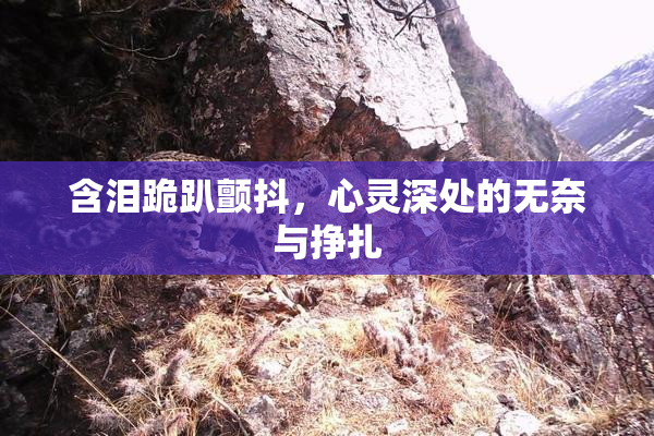 含泪跪趴颤抖，心灵深处的无奈与挣扎