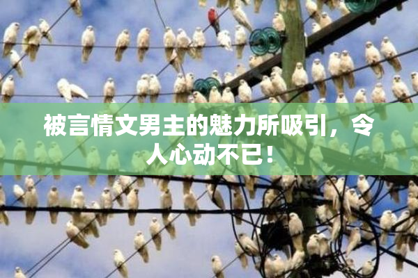 被言情文男主的魅力所吸引，令人心动不已！