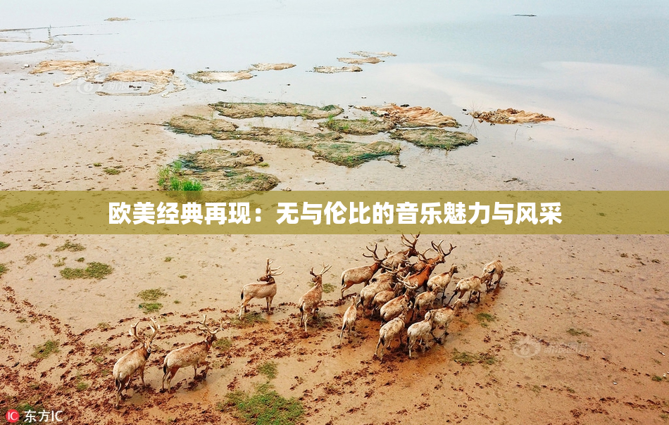 欧美经典再现：无与伦比的音乐魅力与风采