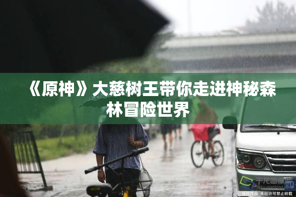 《原神》大慈树王带你走进神秘森林冒险世界