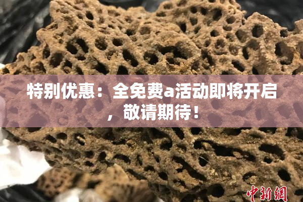 特别优惠：全免费a活动即将开启，敬请期待！