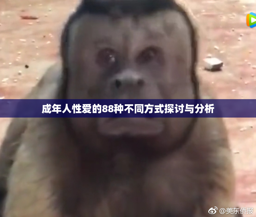 成年人性爱的88种不同方式探讨与分析