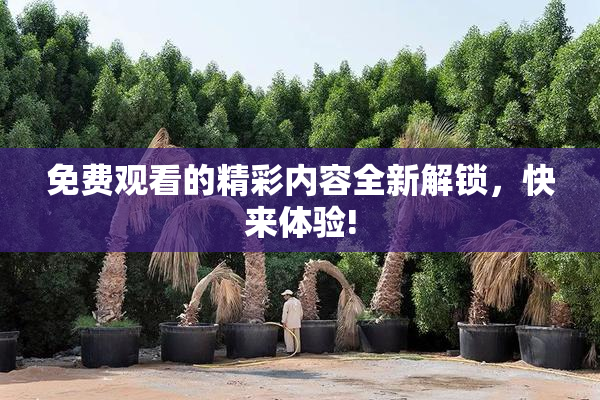 免费观看的精彩内容全新解锁，快来体验!