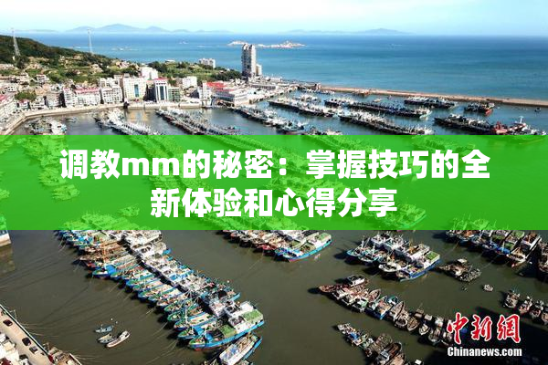 调教mm的秘密：掌握技巧的全新体验和心得分享