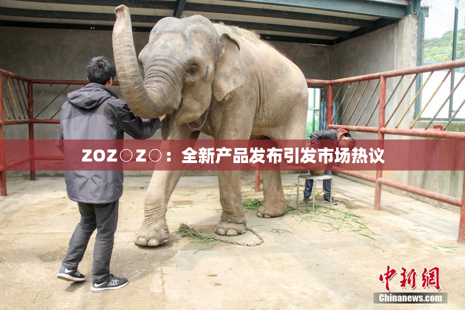 ZOZ○Z○：全新产品发布引发市场热议