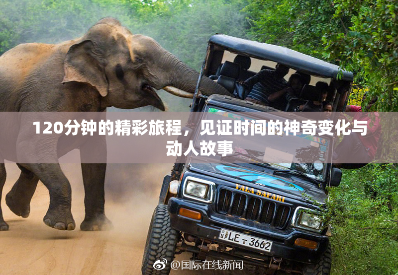 120分钟的精彩旅程，见证时间的神奇变化与动人故事