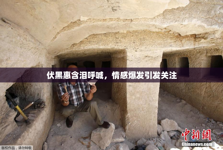 伏黑惠含泪呼喊，情感爆发引发关注