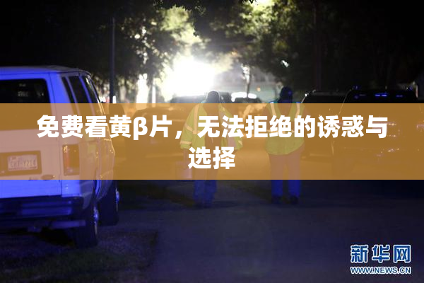 免费看黄β片，无法拒绝的诱惑与选择