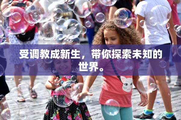 受调教成新生，带你探索未知的世界。