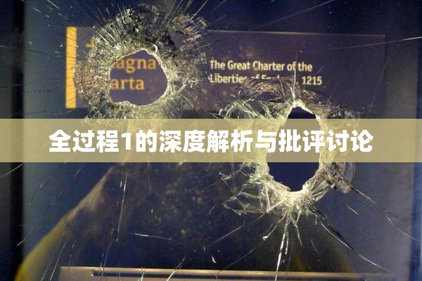 全过程1的深度解析与批评讨论