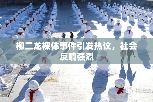 柳二龙裸体事件引发热议，社会反响强烈