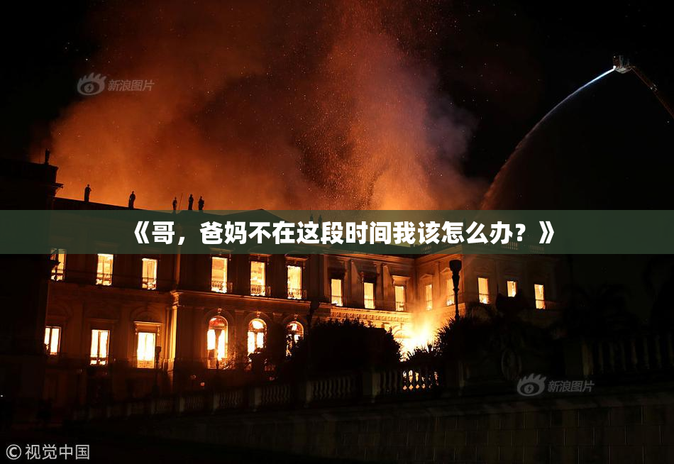 《哥，爸妈不在这段时间我该怎么办？》
