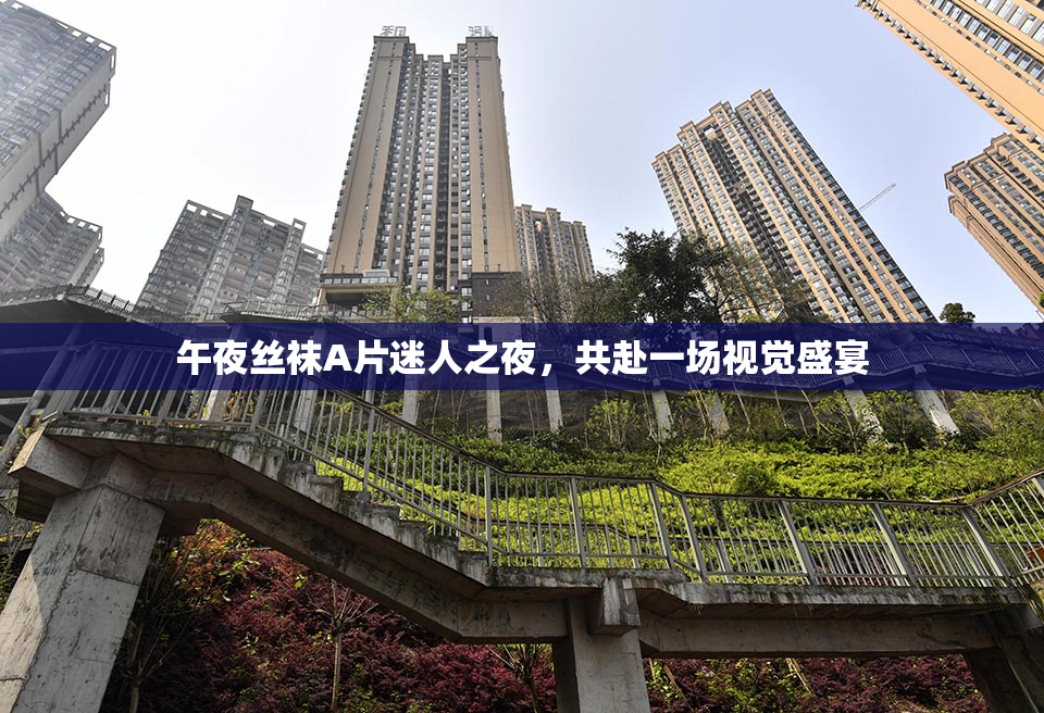 午夜丝袜A片迷人之夜，共赴一场视觉盛宴