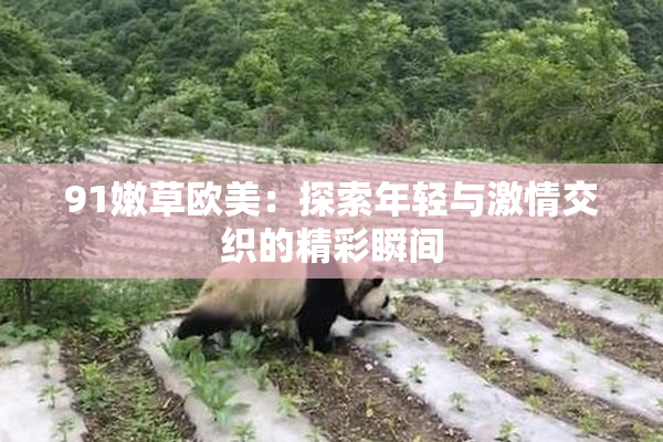 91嫩草欧美：探索年轻与激情交织的精彩瞬间