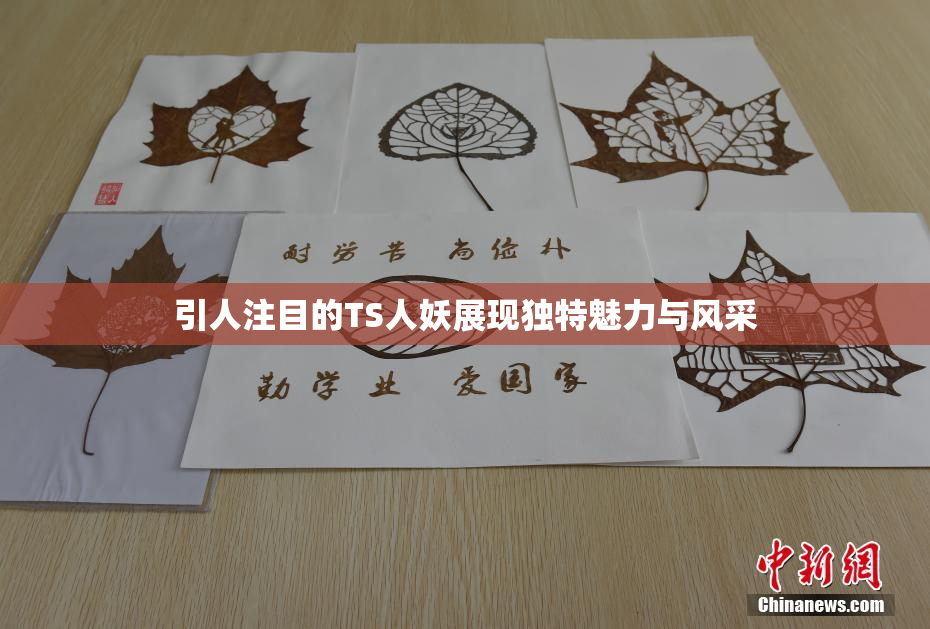 引人注目的TS人妖展现独特魅力与风采