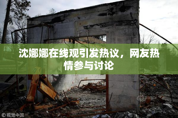 沈娜娜在线观引发热议，网友热情参与讨论