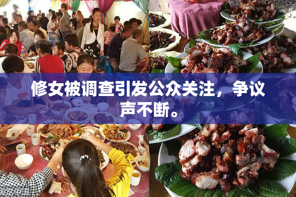 修女被调查引发公众关注，争议声不断。
