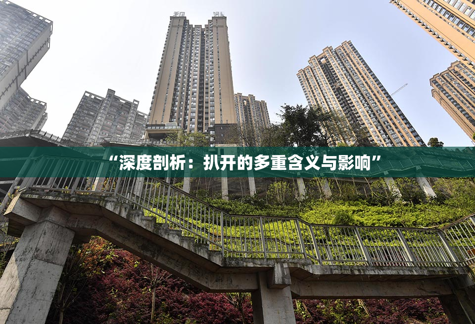 “深度剖析：扒开的多重含义与影响”