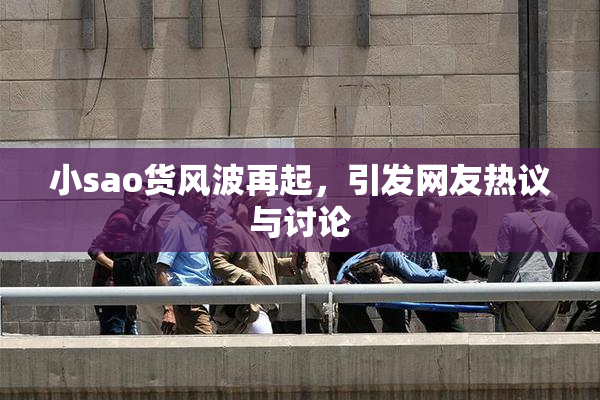 小sao货风波再起，引发网友热议与讨论