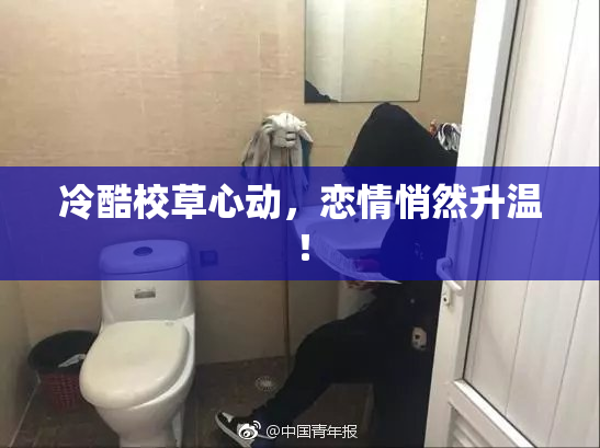 冷酷校草心动，恋情悄然升温！